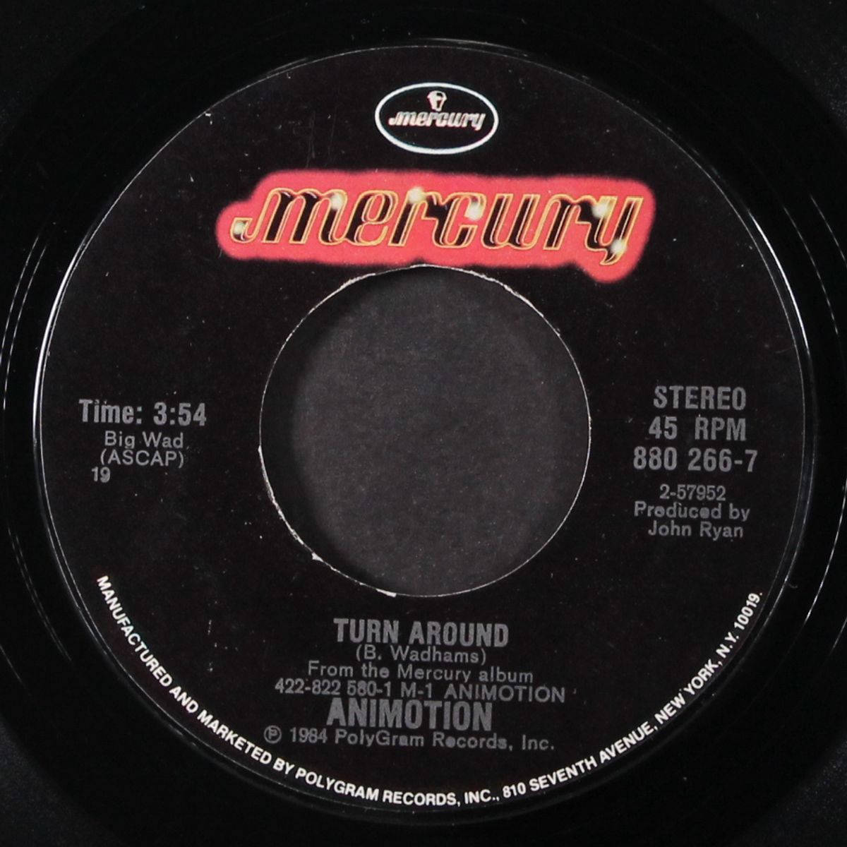 obsession / turn around by ANIMOTION