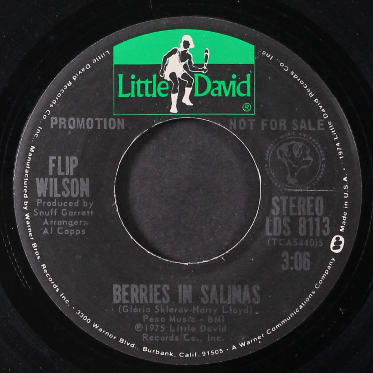 berries in salinas by FLIP WILSON
