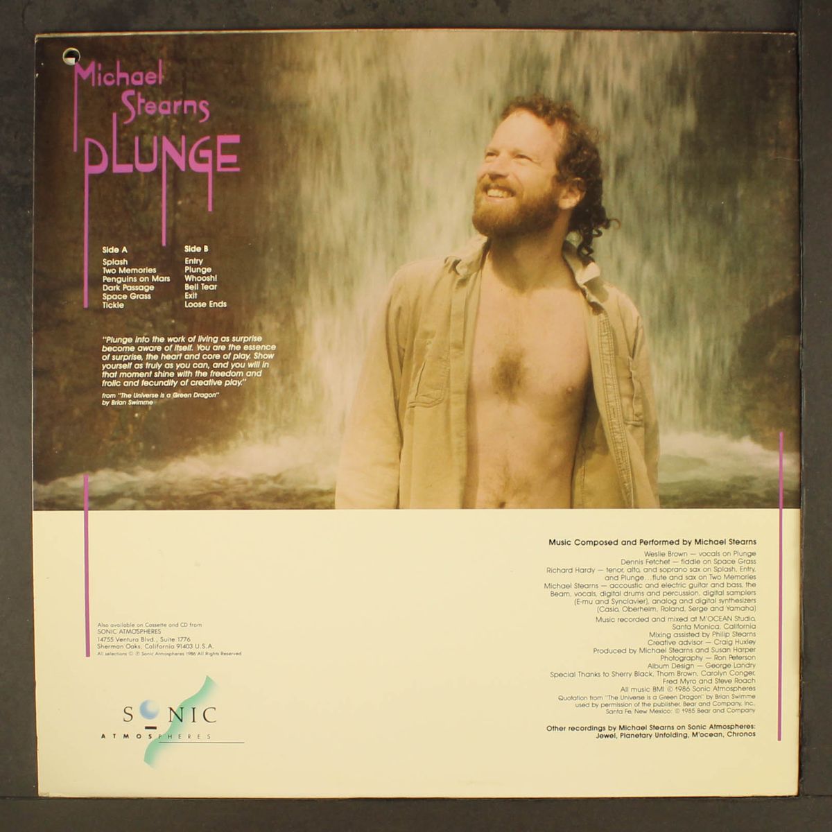 plunge by MICHAEL STEARNS