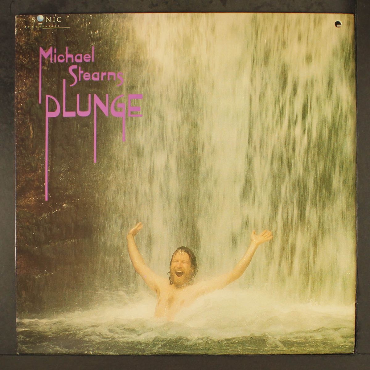 plunge by MICHAEL STEARNS