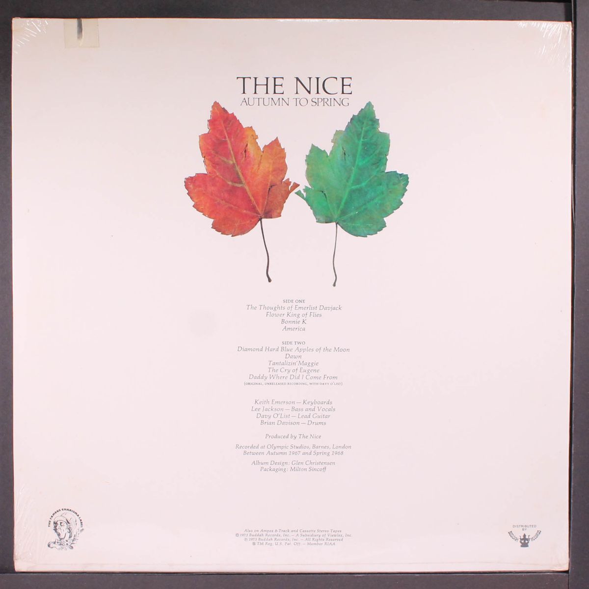 autumn to spring by NICE
