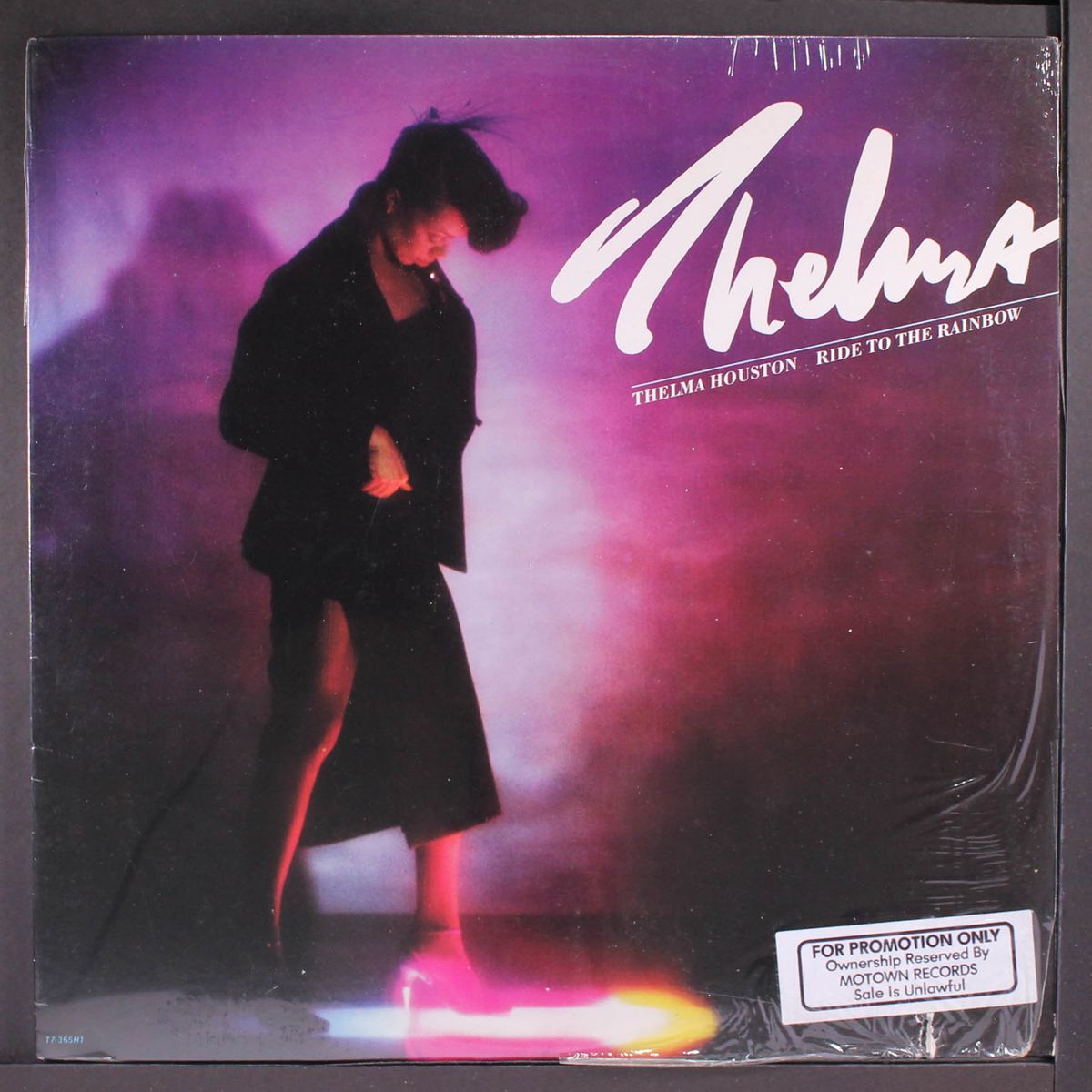 ride to the rainbow by THELMA HOUSTON