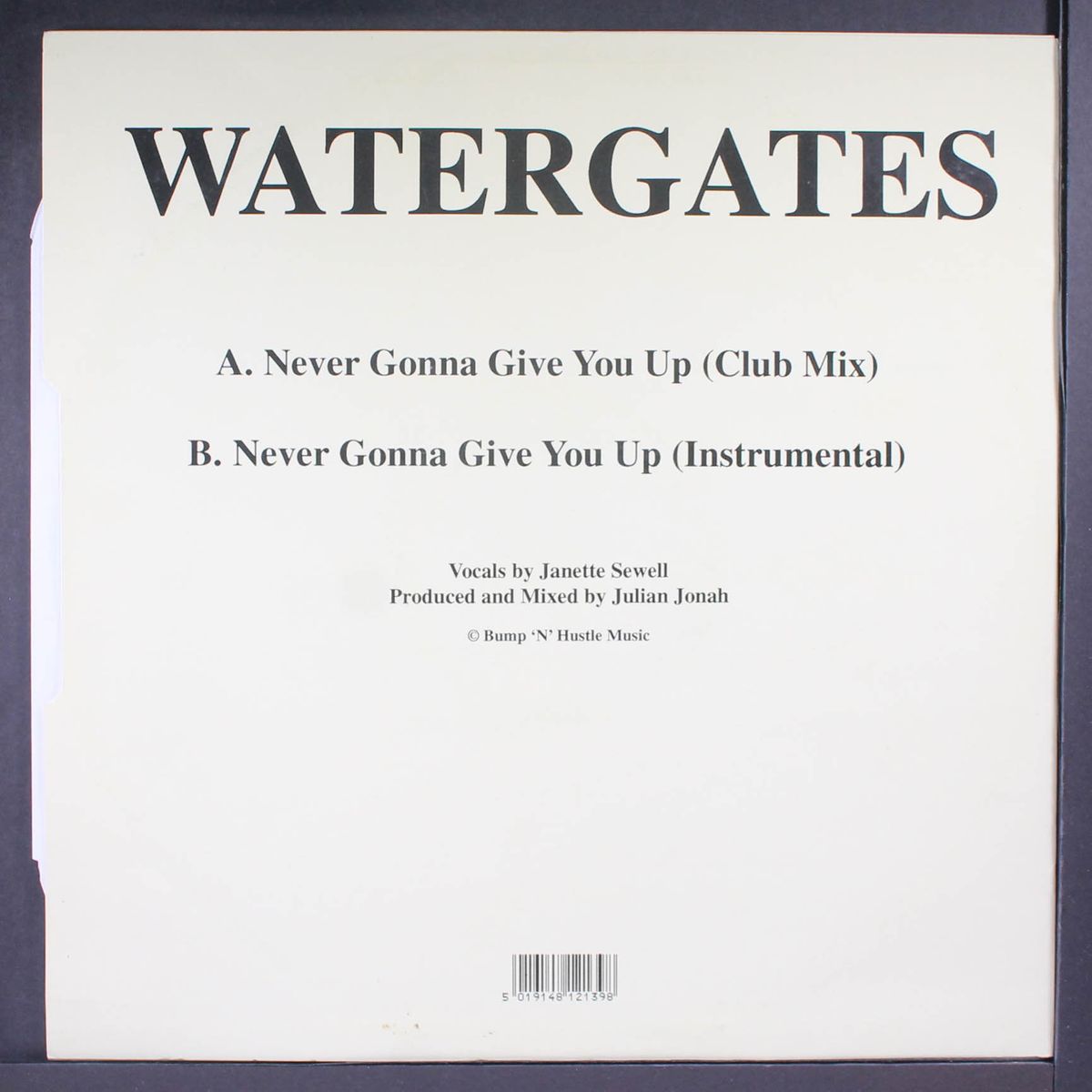 never gonna give you up by WATERGATES
