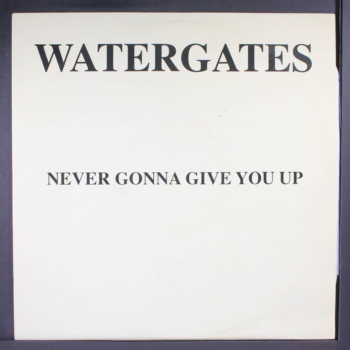 never gonna give you up by WATERGATES