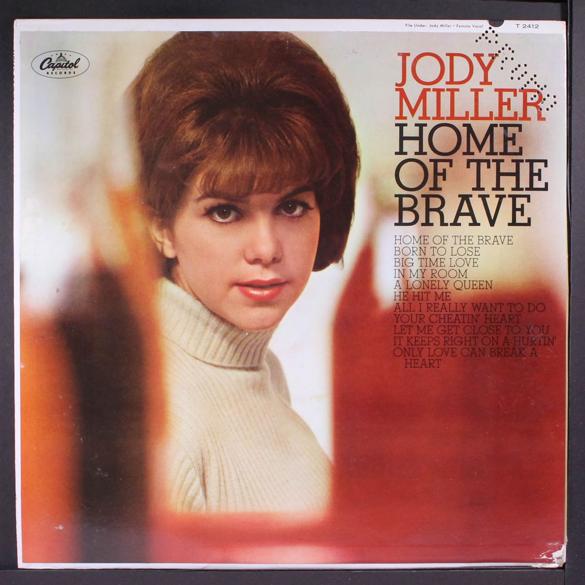 home of the brave by JODY MILLER