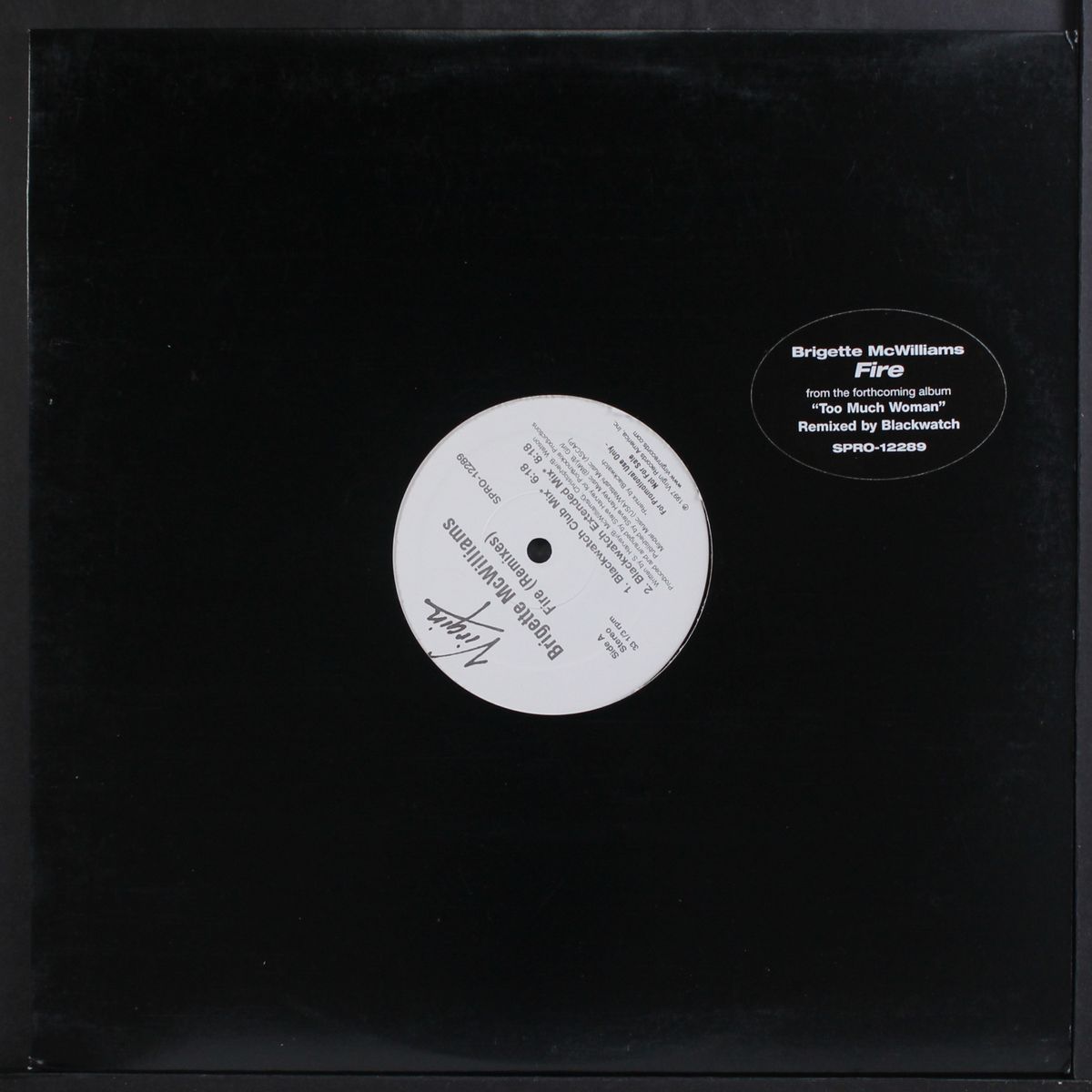fire (remixes) by BRIGETTE MCWILLIAMS