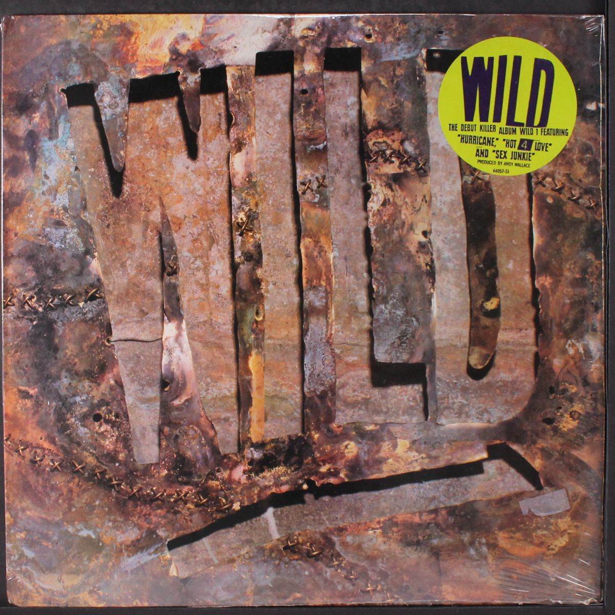 wild 1 by WILD