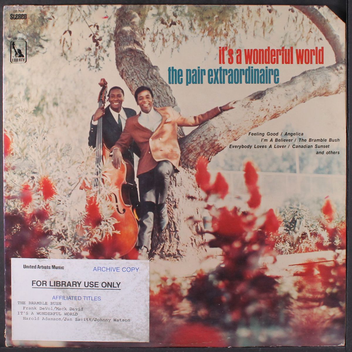 it's a wonderful world by PAIR EXTRAORDINAIRE