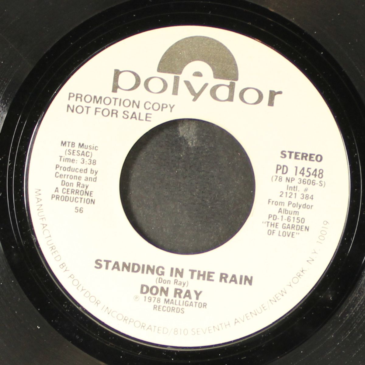 standing in the rain / same by DON RAY