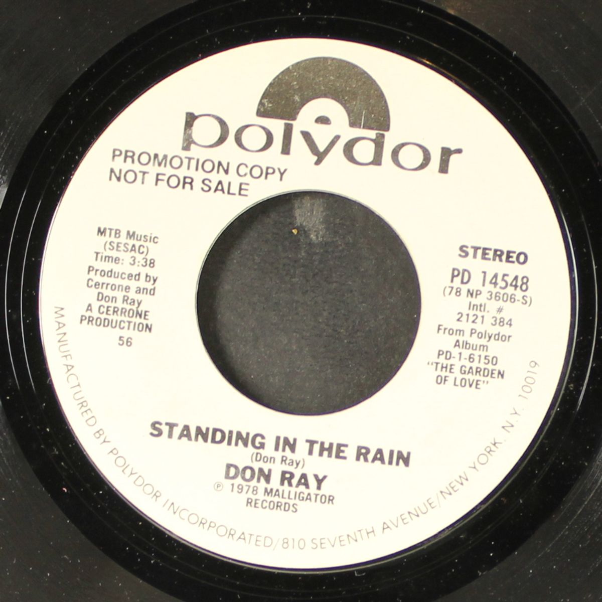 standing in the rain / same by DON RAY