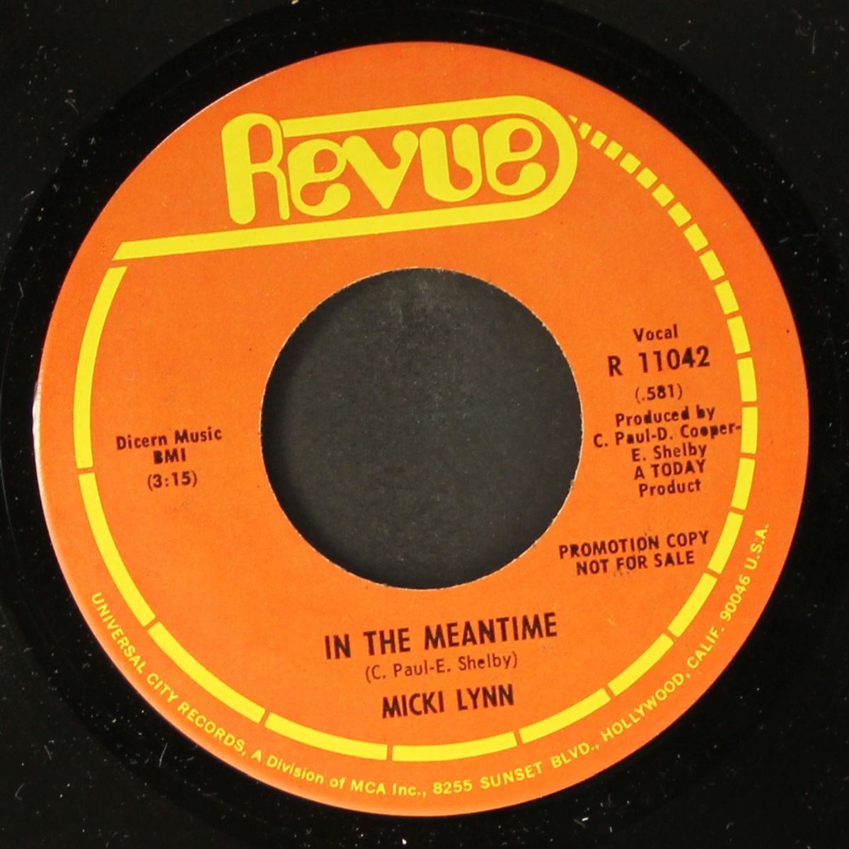 sure is something / in the meantime by MICKI LYNN