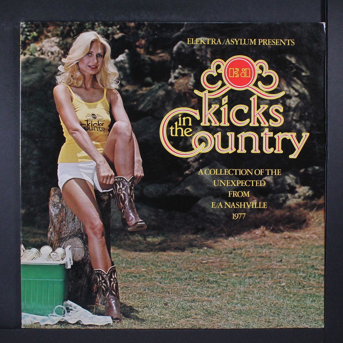e/a kicks in the country by VARIOUS