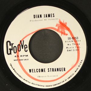 DIAN JAMES