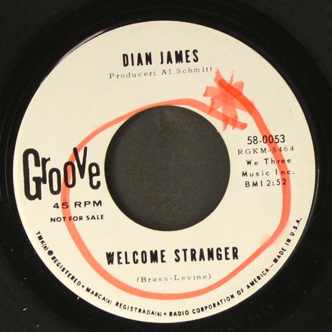 DIAN JAMES