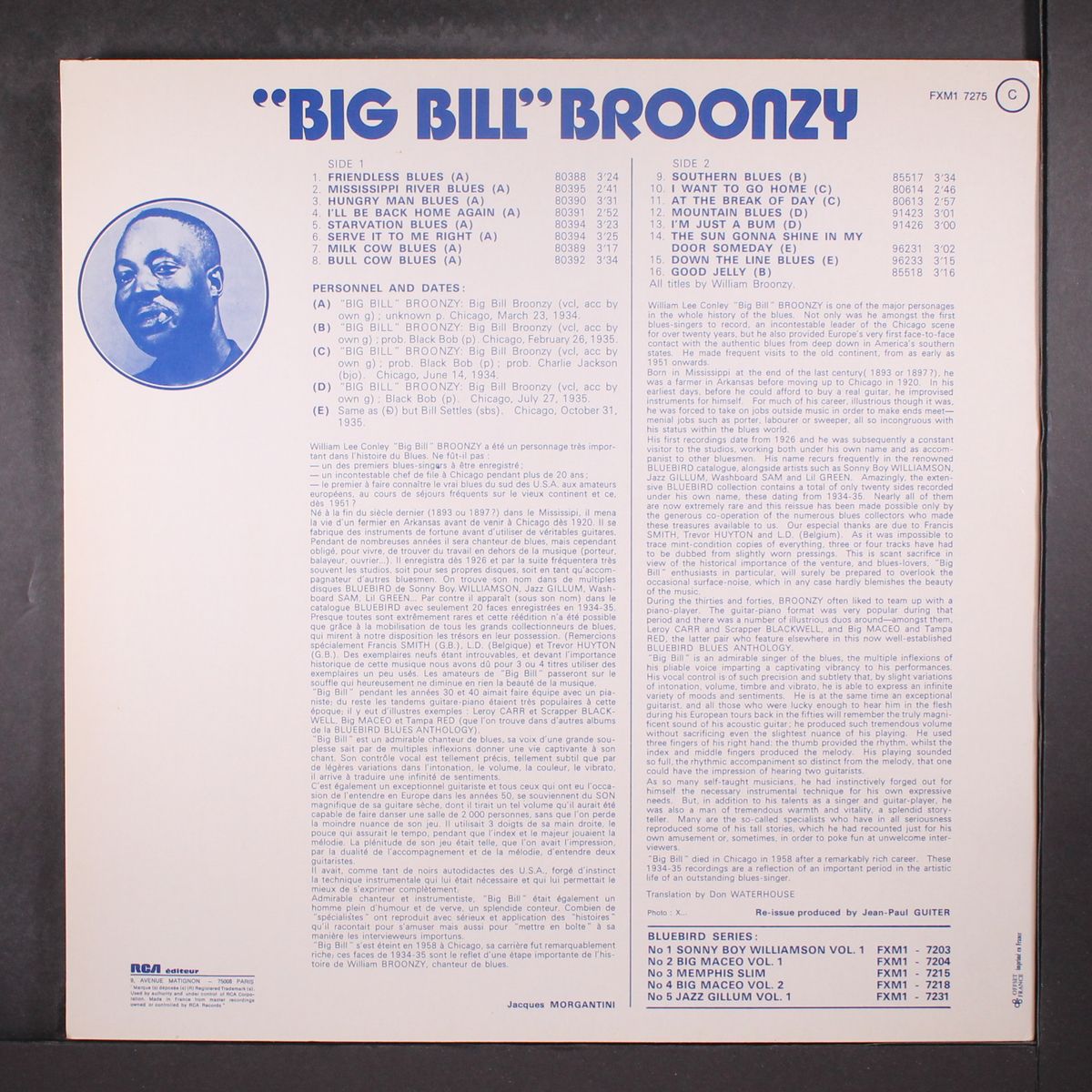 bluebird no. 6 by BIG BILL BROONZY