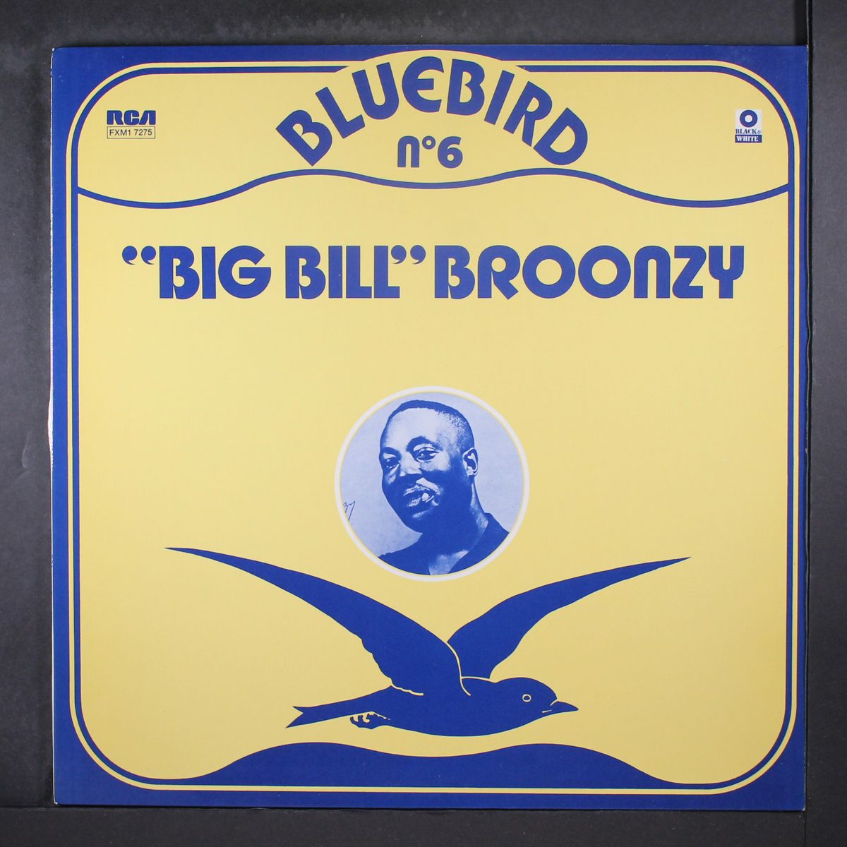 bluebird no. 6 by BIG BILL BROONZY
