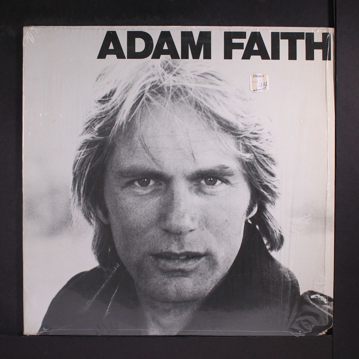 i survive by ADAM FAITH