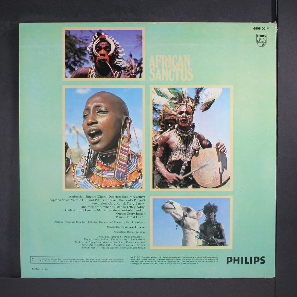 african sanctus by DAVID FANSHAWE