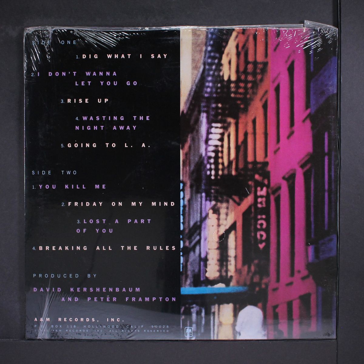 breaking all the rules by PETER FRAMPTON