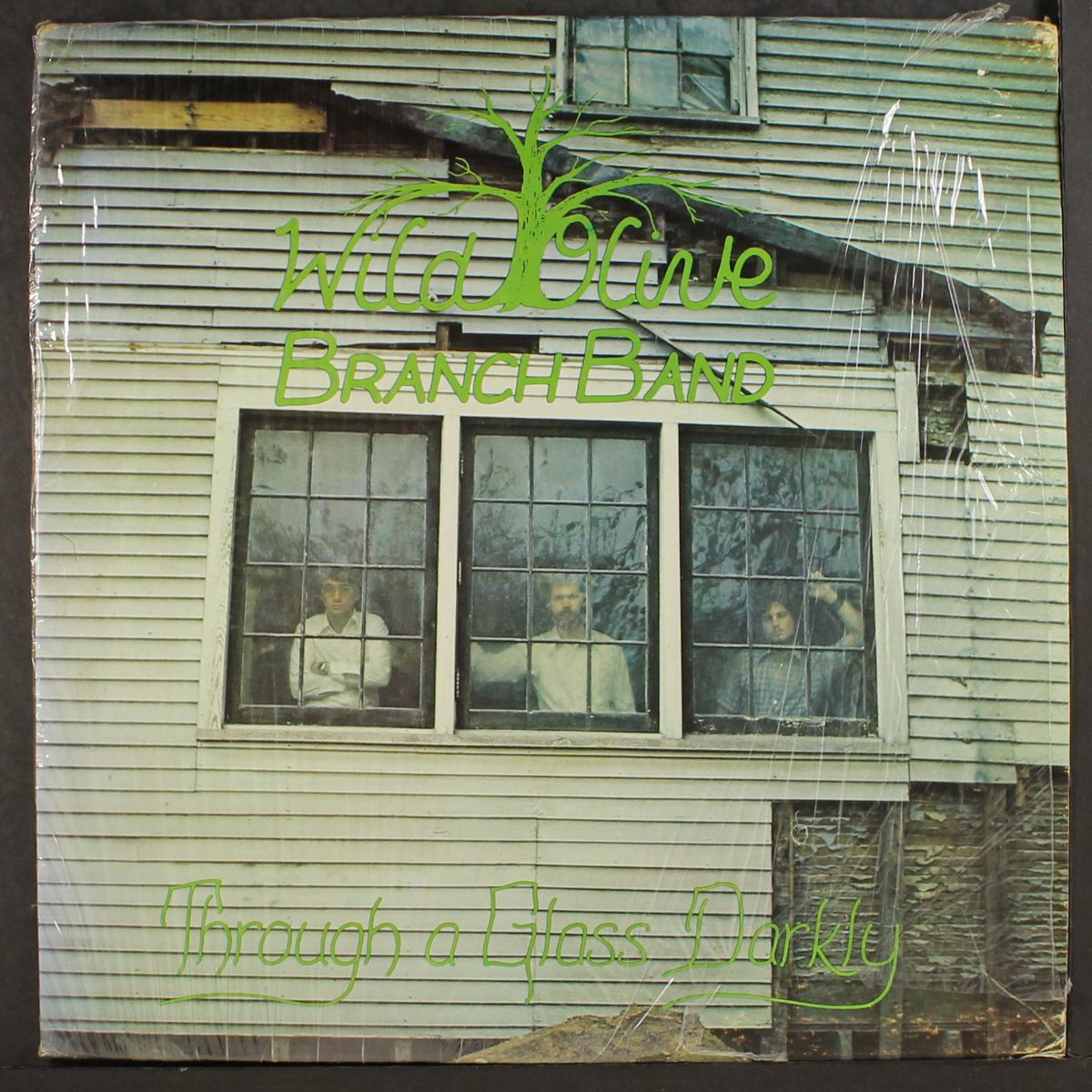 through a glass darkly by WILD OLIVE BRANCH BAND