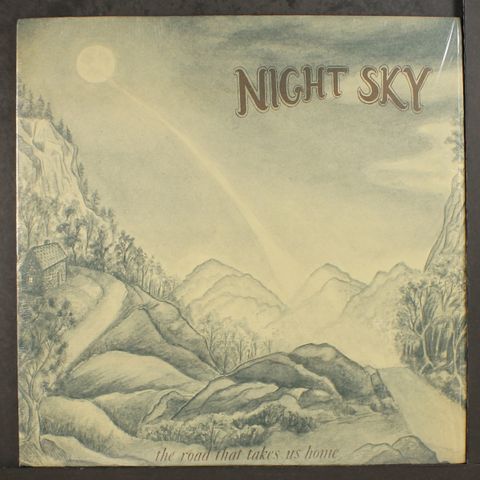 NIGHT SKY