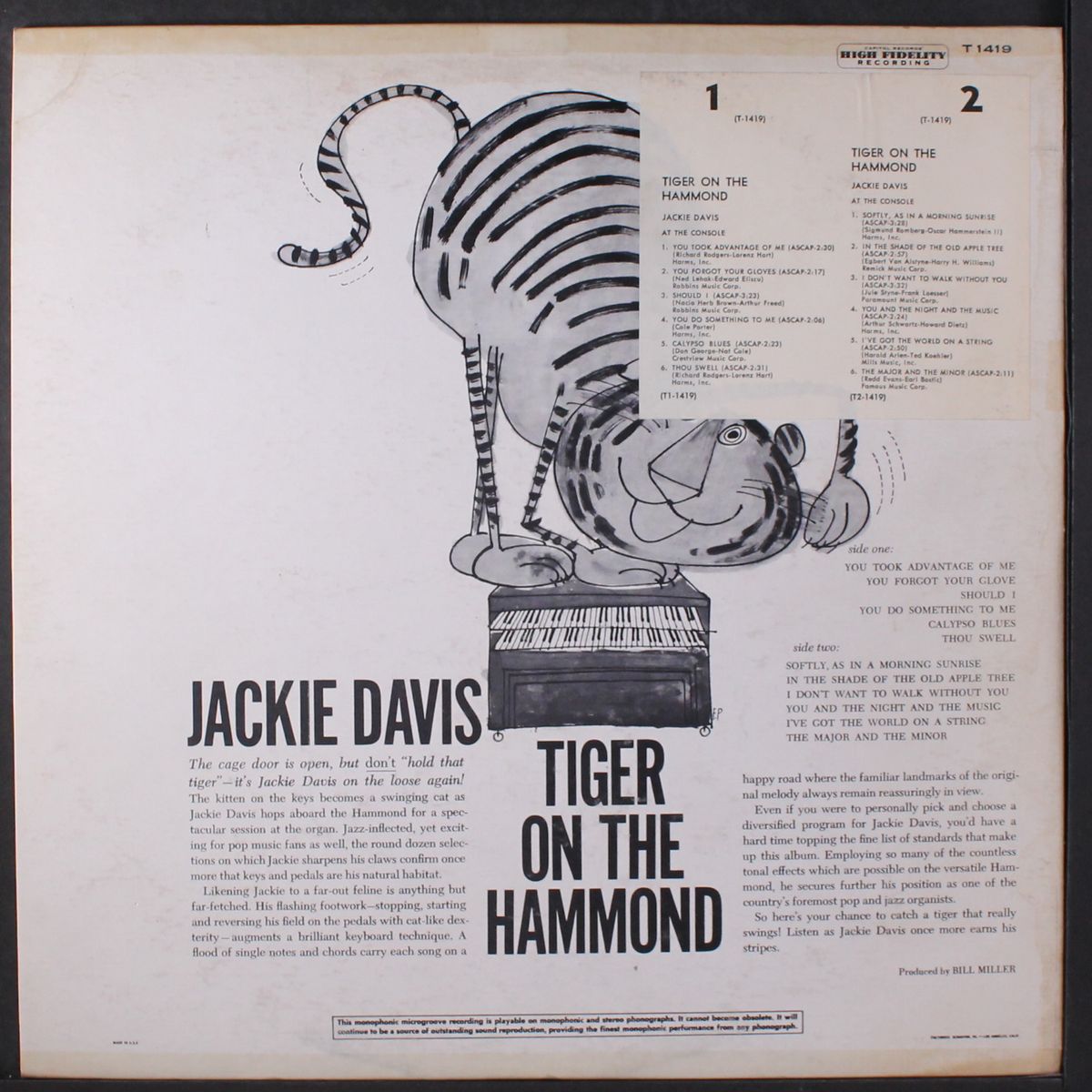 tiger on the hammond by JACKIE DAVIS