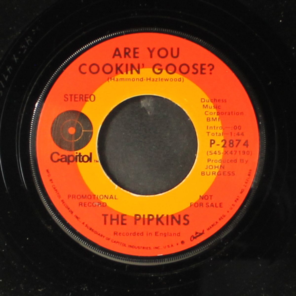 yakety yak by PIPKINS