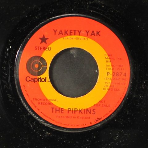 PIPKINS