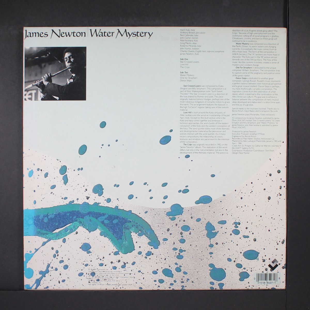 water mystery by JAMES NEWTON