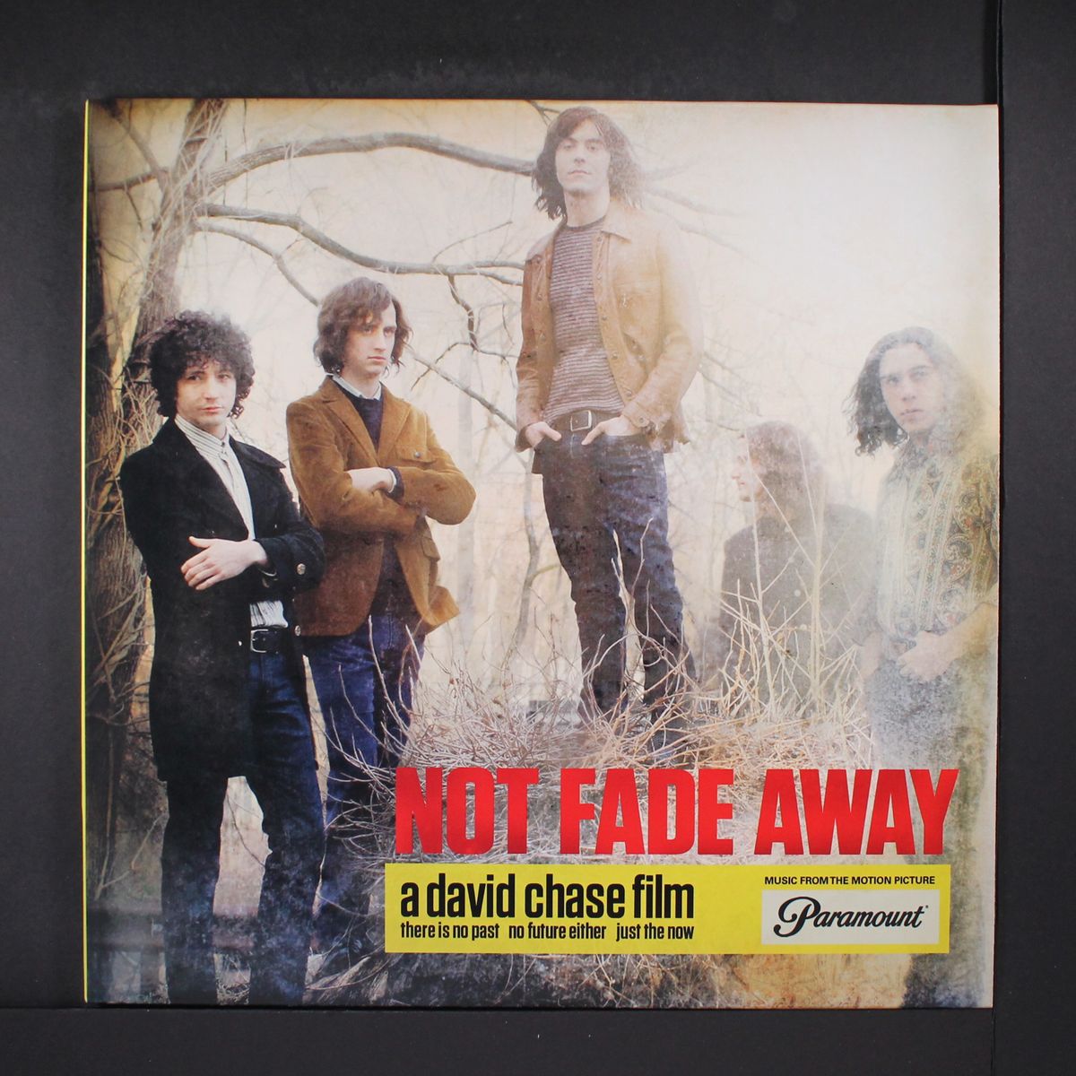 not fade away by SOUNDTRACK