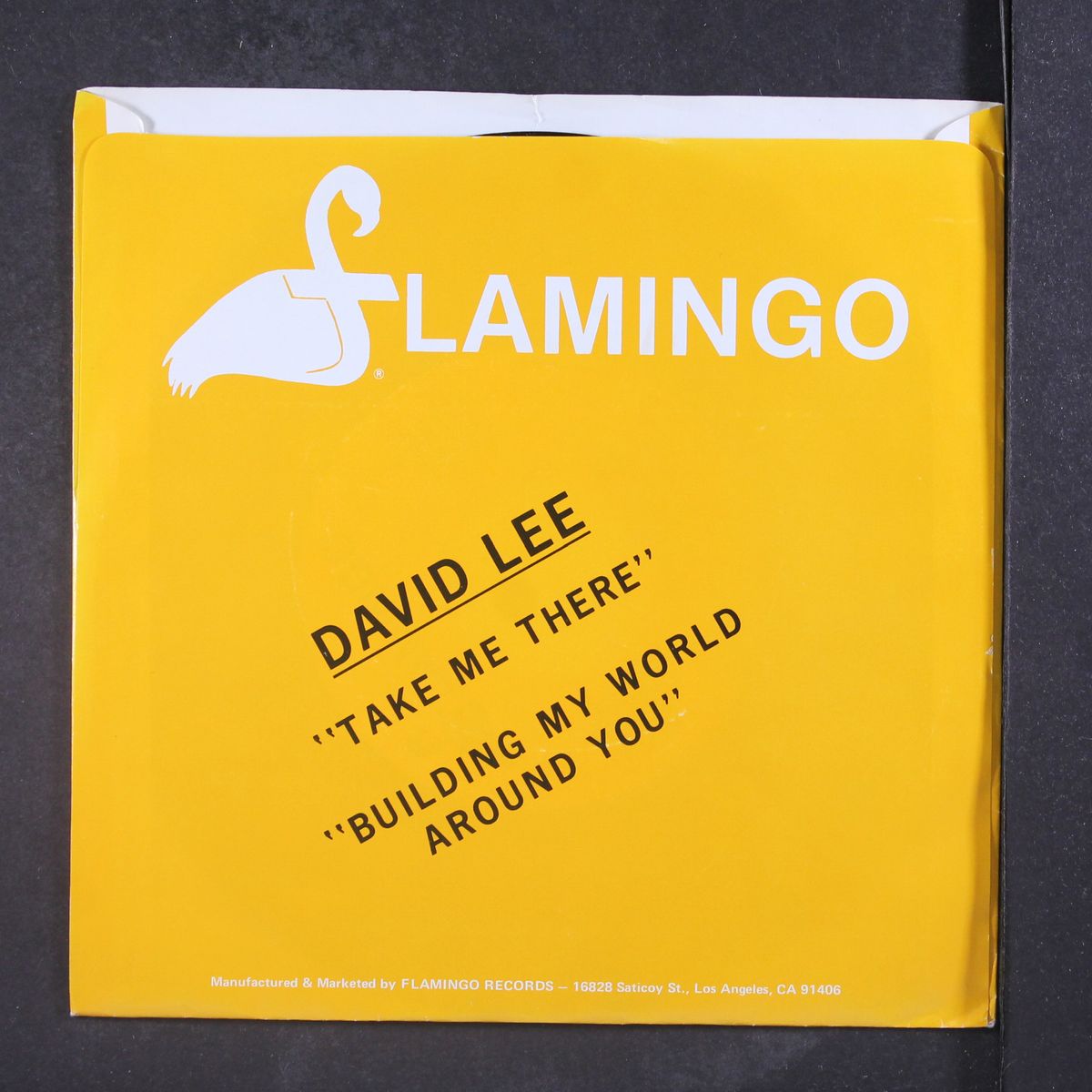 take me there / building my world around you by DAVID LEE