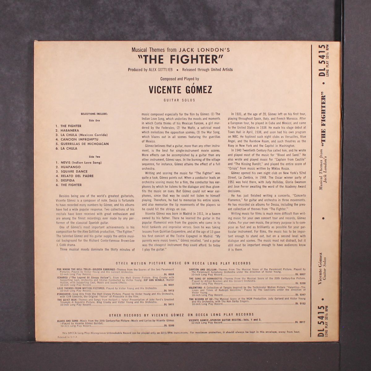 the fighter by VINCENTE GOMEZ