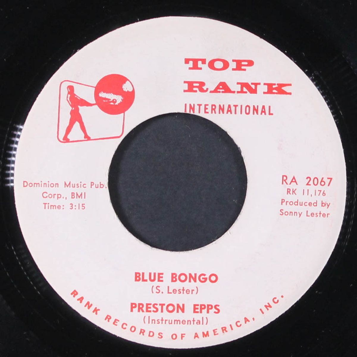 bongola / blue bongo by PRESTON EPPS