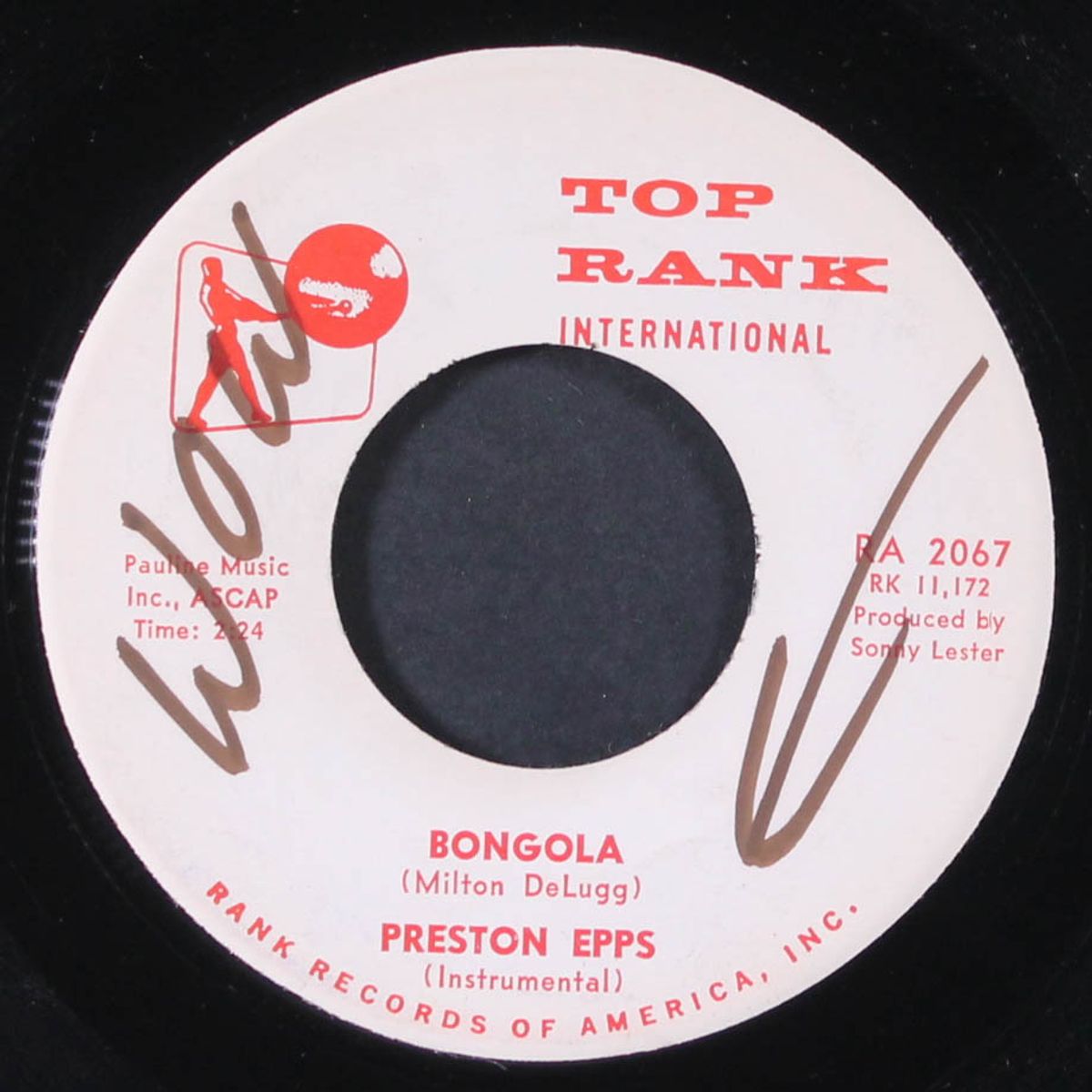 bongola / blue bongo by PRESTON EPPS