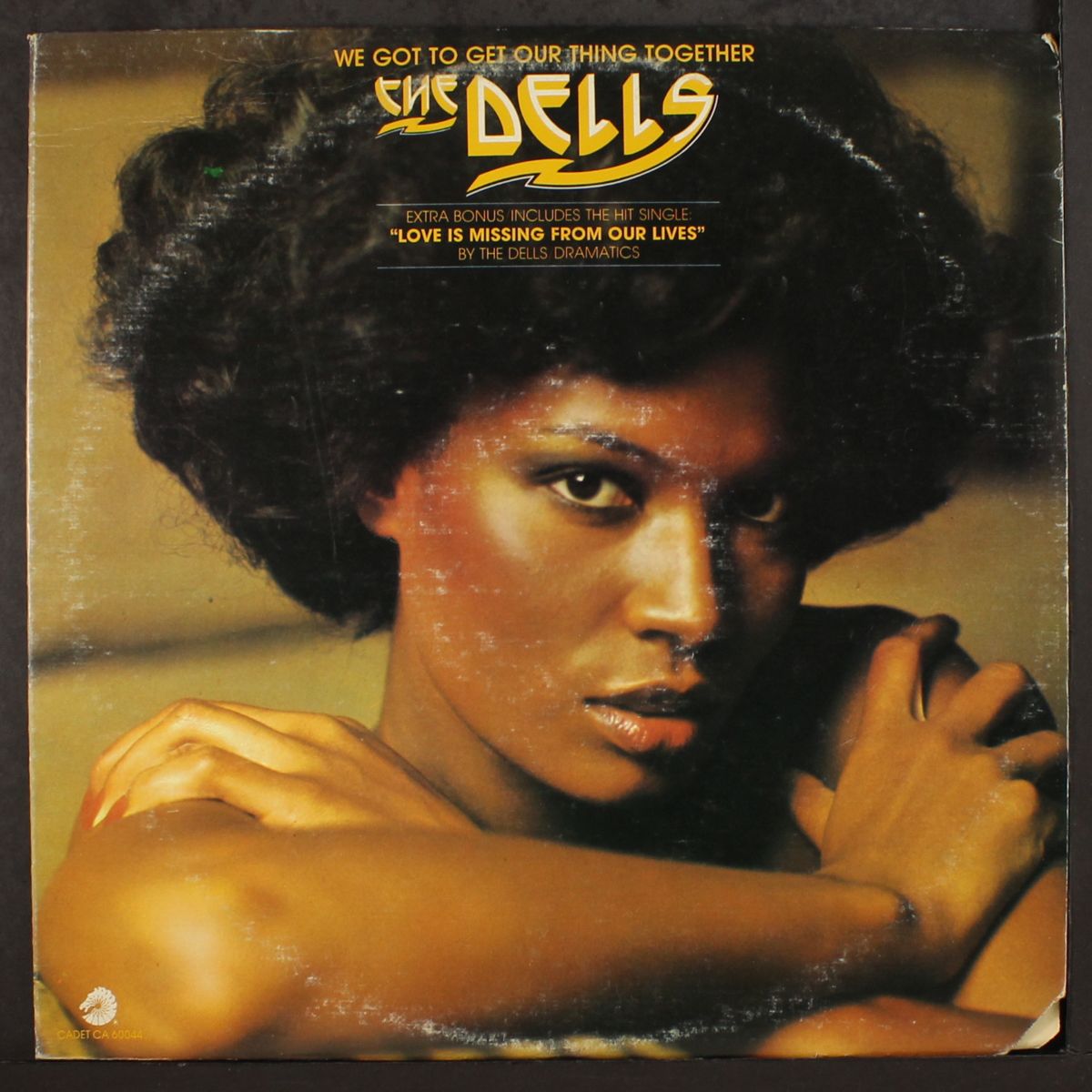 we got to get our thing together by DELLS