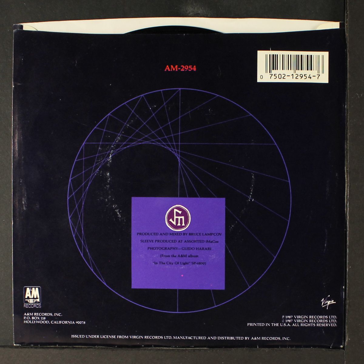 promised you a miracle / book of brilliant things by SIMPLE MINDS