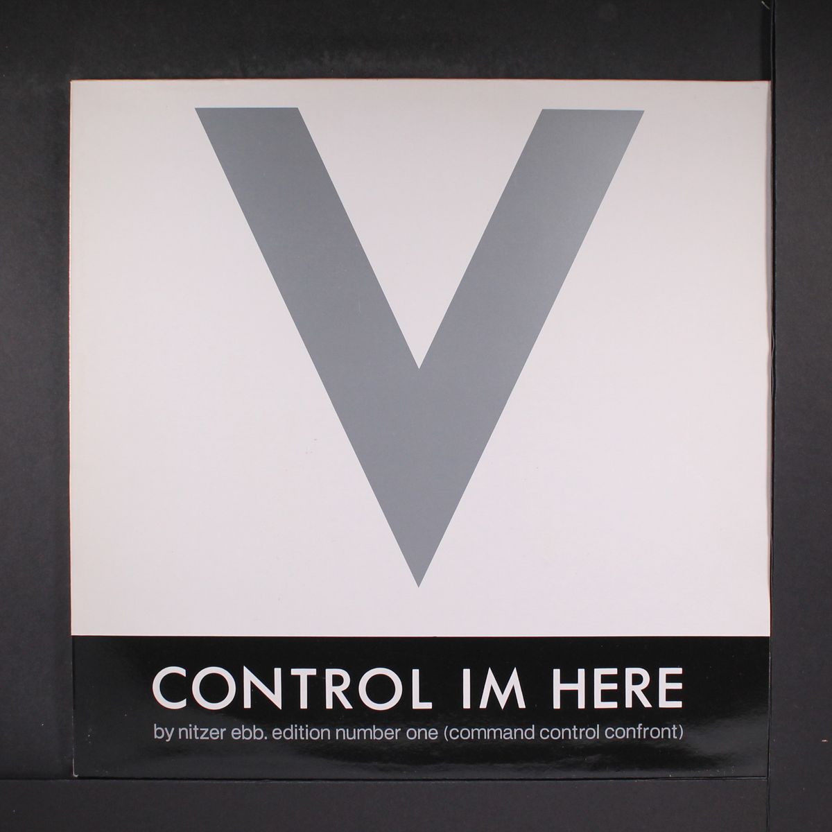 control i'm here by NITZER EBB
