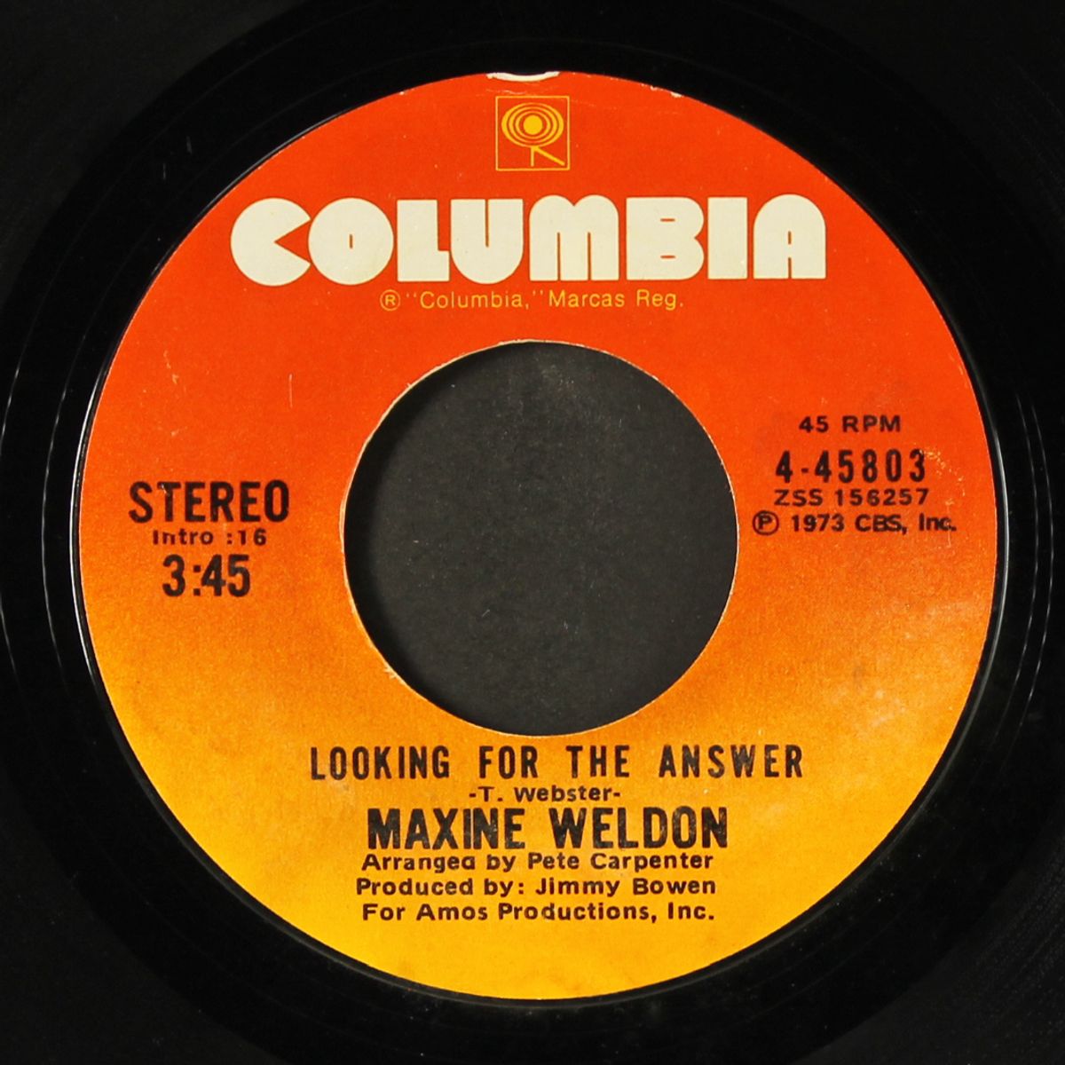 maggie's farm by MAXINE WELDON
