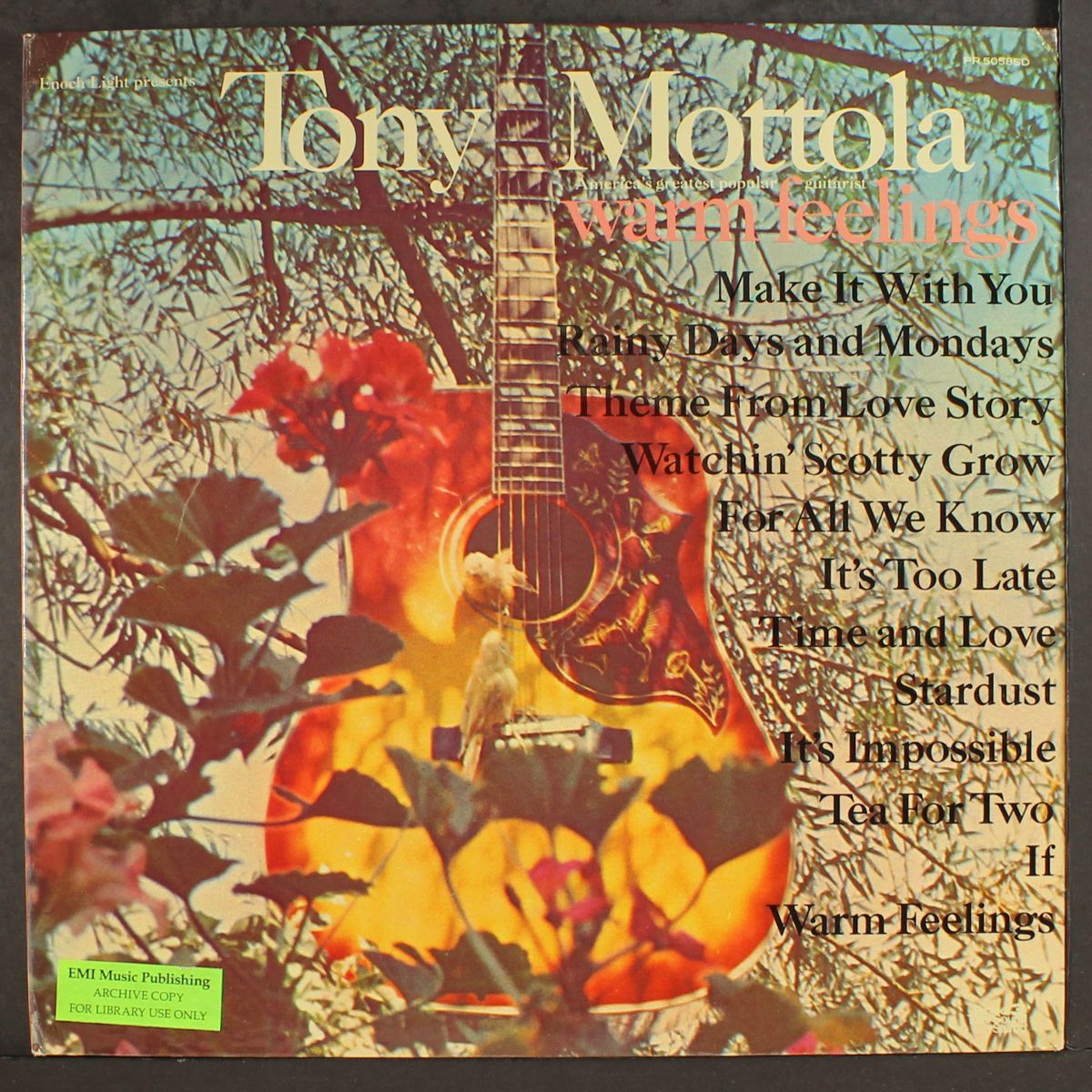 warm feelings by TONY MOTTOLA