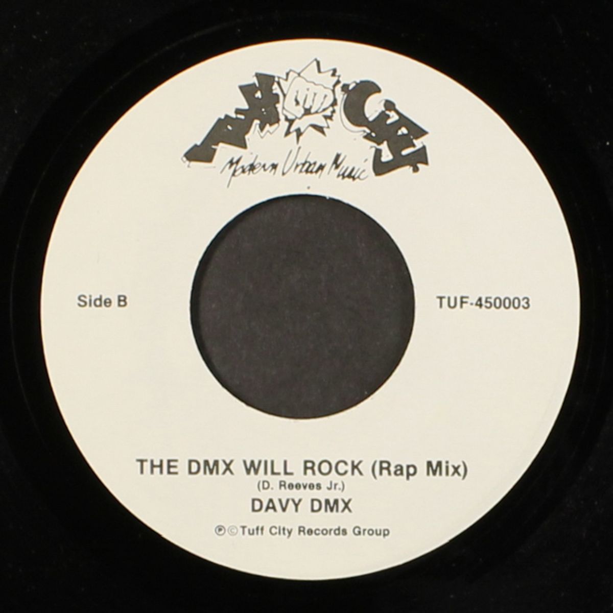 the dmx will rock / same by DAVY DMX