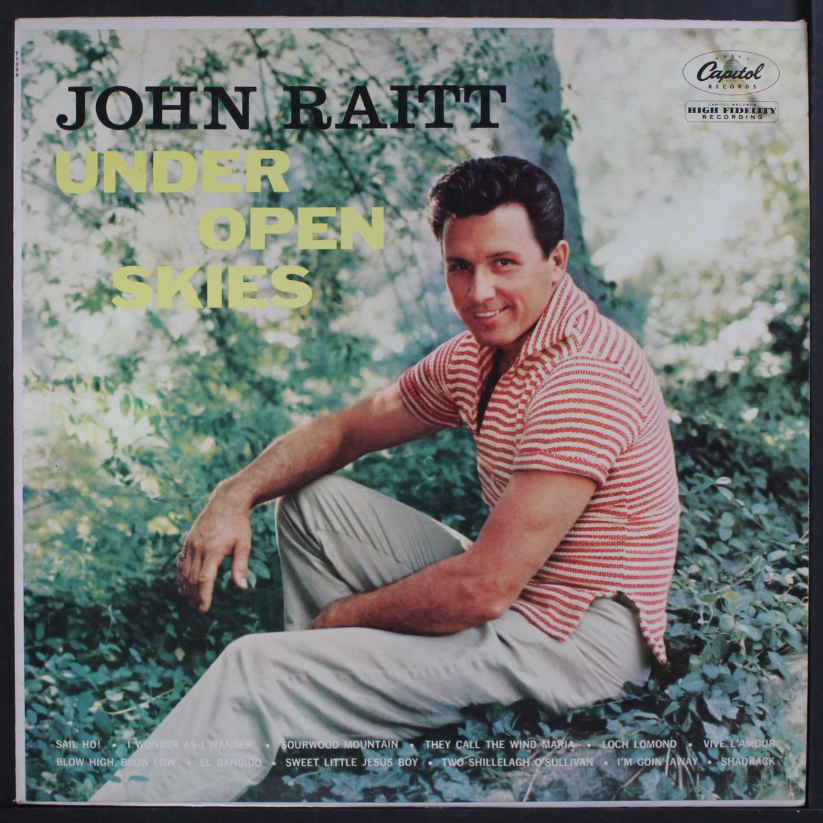 under open skies by JOHN RAITT
