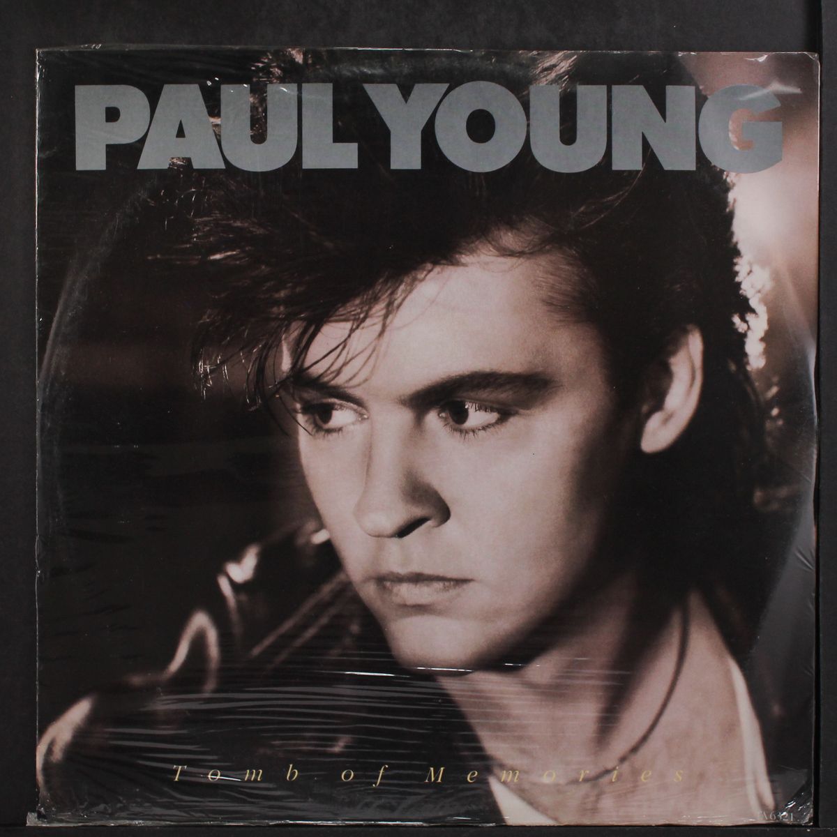 tomb of memories by PAUL YOUNG