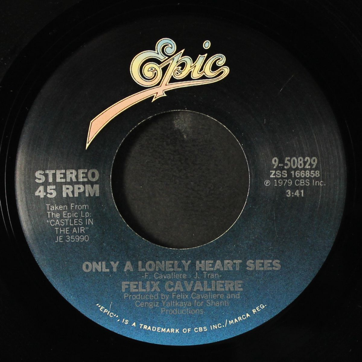 only a lonely heart sees / same by FELIX CAVALIERE
