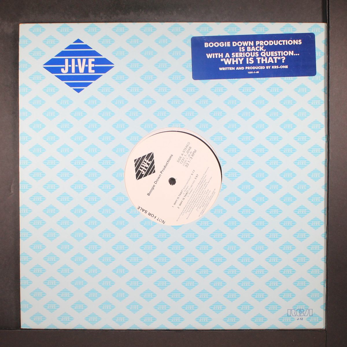 why is that? / instro by BOOGIE DOWN PRODUCTIONS