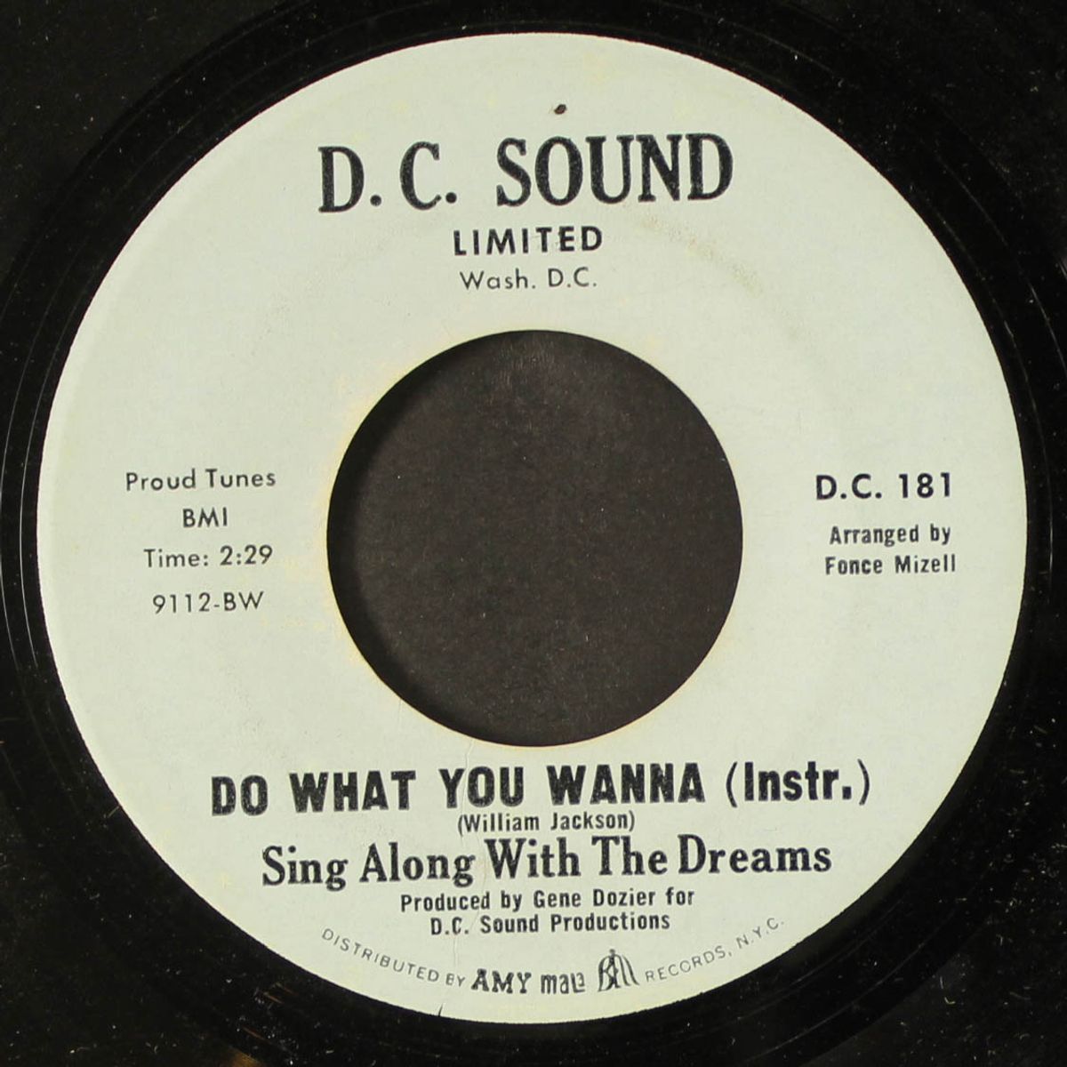 do what you wanna / instro by DREAMS
