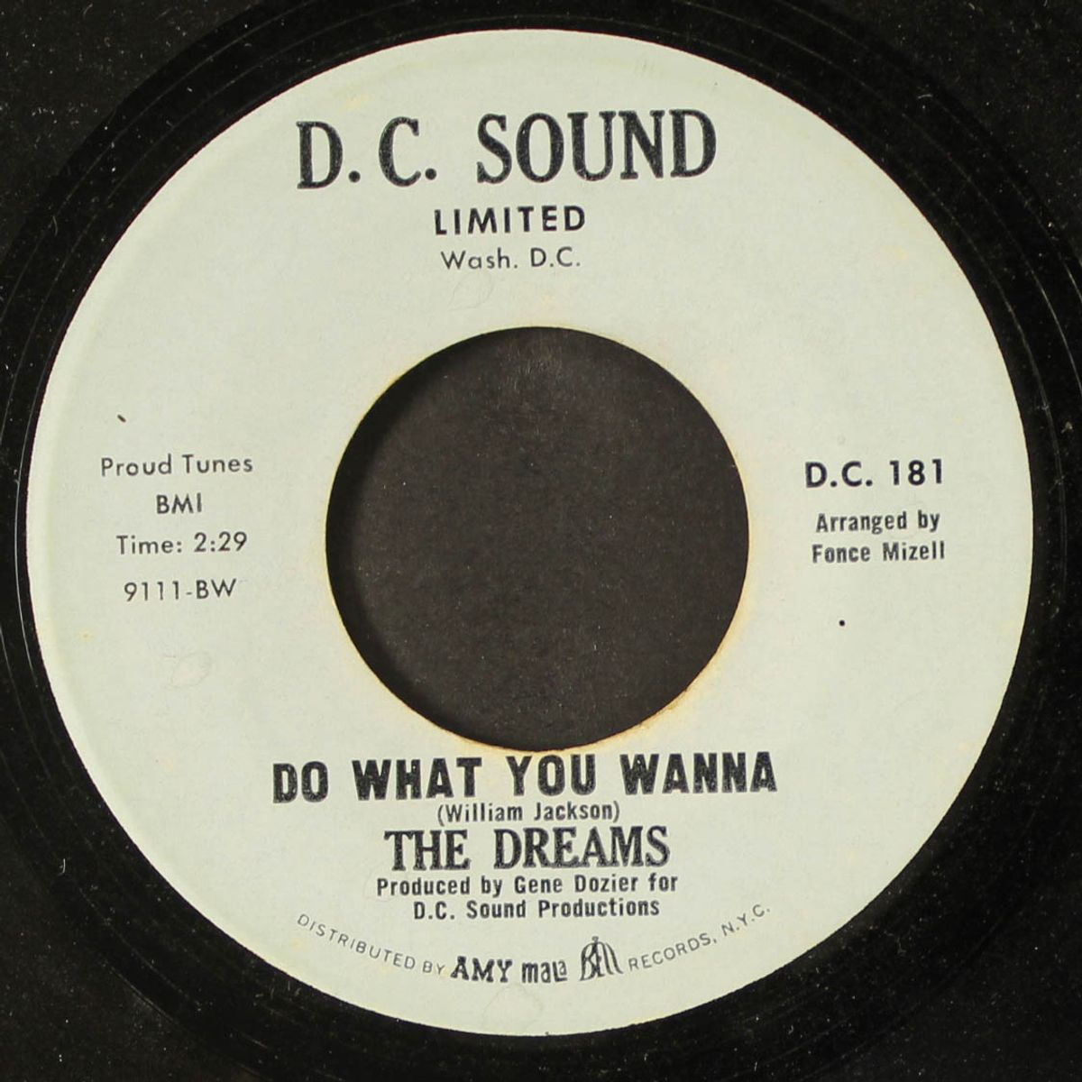 do what you wanna / instro by DREAMS