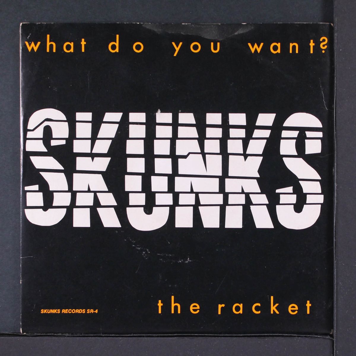 what do you want / the racket by SKUNKS