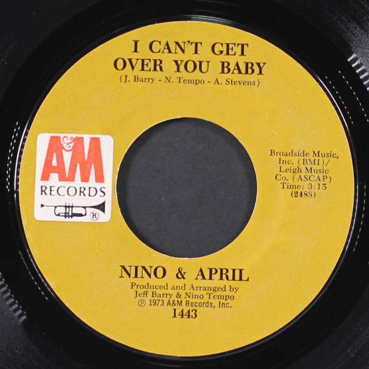 put it where you want it by NINO TEMPO & APRIL STEVENS