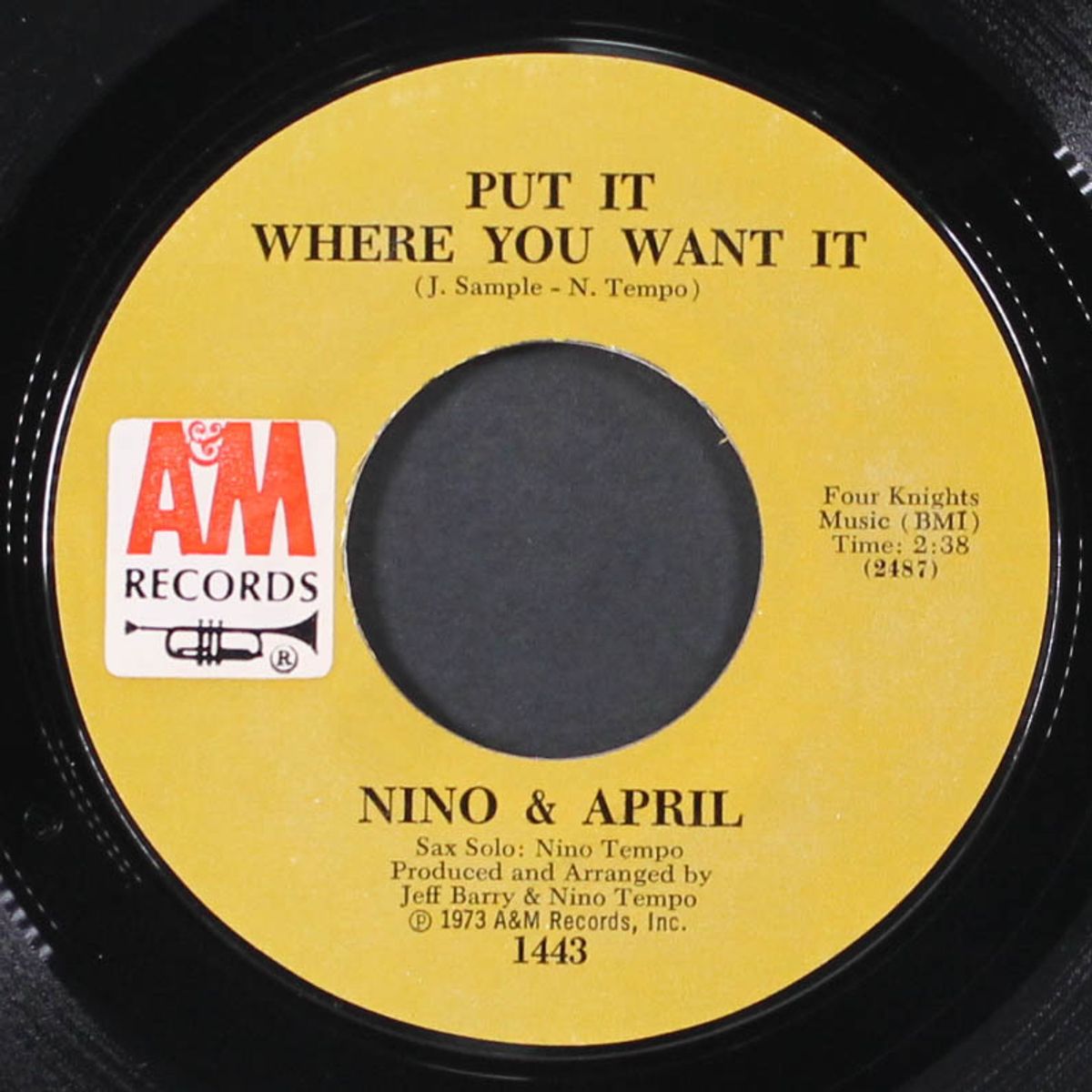 put it where you want it by NINO TEMPO & APRIL STEVENS