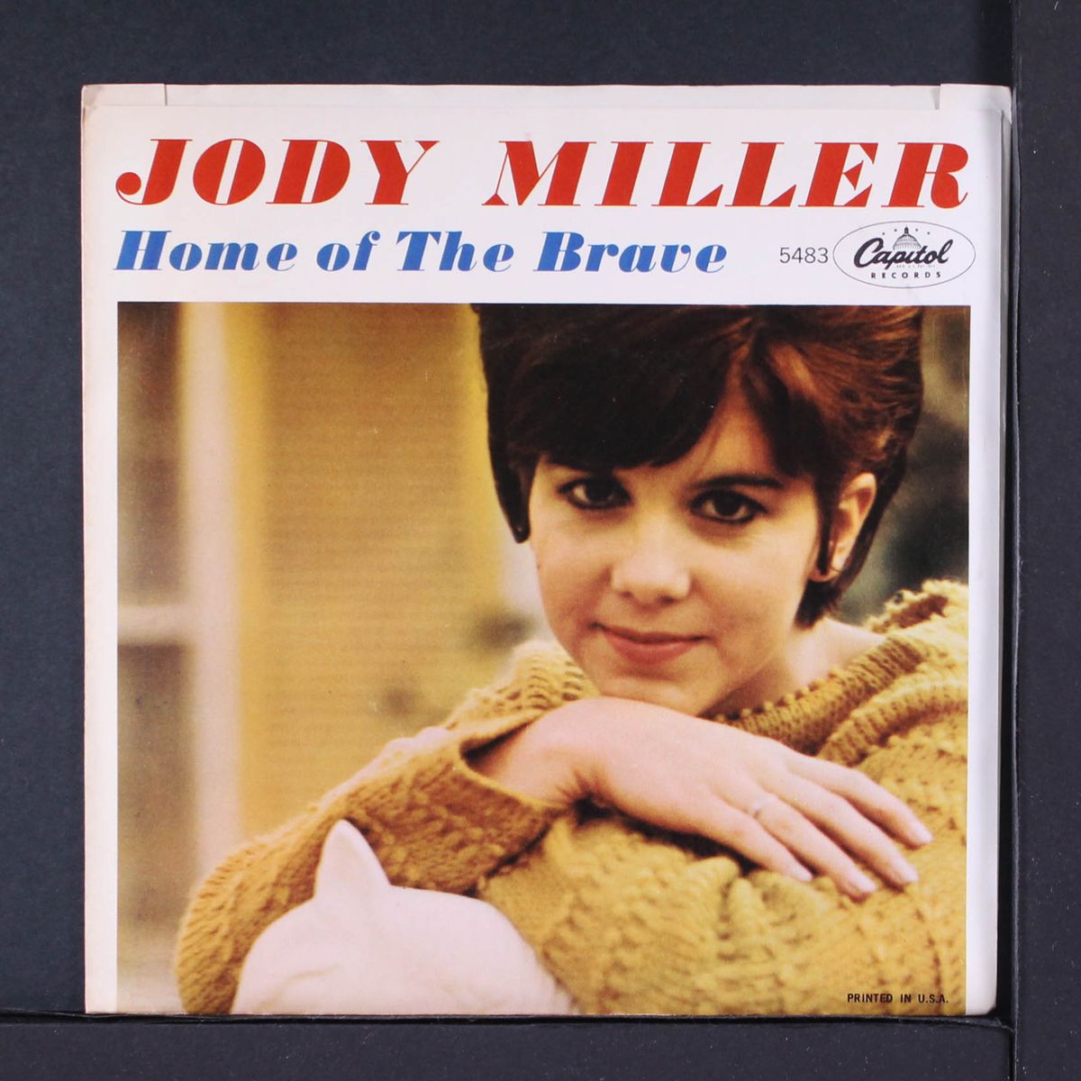 home of the brave by JODY MILLER